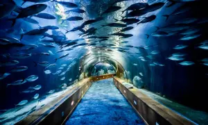 Oceanarium Poznań: Plany budowy i atrakcje, które musisz znać