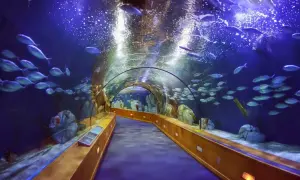 Oceanarium Walencja - co musisz wiedzieć przed wizytą?