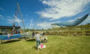 Oceanarium Władysławowo – Fascynujące życie morskie i atrakcje dla rodzin