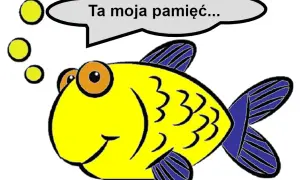 Pamięć złotej rybki ile trwa? Fakty, które zaskoczą każdego