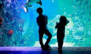 Kołobrzeg atrakcje dla dzieci: oceanarium pełne niespodzianek