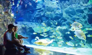 Oceanarium Kielce - Jak wykorzystać bon turystyczny i co zobaczyć?