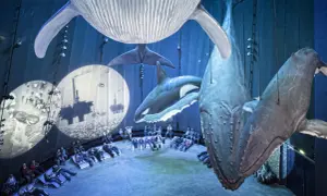 Ozeaneum w Stralsundzie: Fascynujące życie morskie na wyciągnięcie ręki