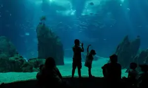 Oceanarium lubelskie - odkryj sekretne atrakcje i godziny otwarcia