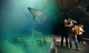 Jak kupić bilety do oceanarium w Gdyni i uniknąć kolejek