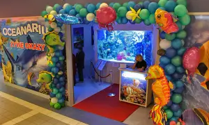 Oceanarium Warszawa Blue City - Fascynujące życie morskie i atrakcje