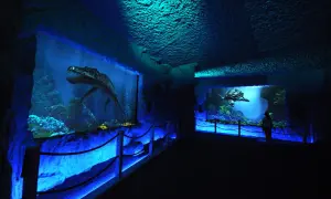Bałtów oceanarium: Fascynujące atrakcje i edukacja o prehistorii