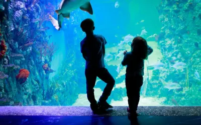 Kołobrzeg atrakcje dla dzieci: oceanarium pełne niespodzianek