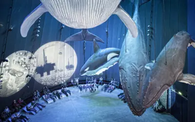 Ozeaneum w Stralsundzie: Fascynujące życie morskie na wyciągnięcie ręki
