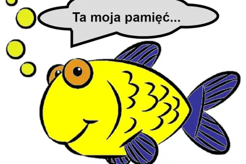 Pamięć złotej rybki ile trwa? Fakty, które zaskoczą każdego