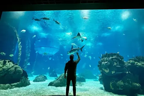Najlepsze oceanaria w Węgrzech: co warto zobaczyć i zwiedzić