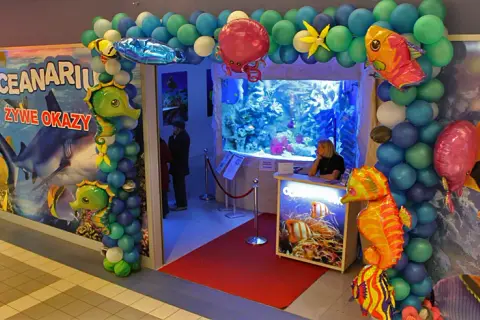 Oceanarium Warszawa Blue City - Fascynujące życie morskie i atrakcje