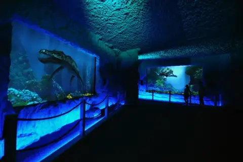 Prehistoryczne oceanarium: odkryj fascynujący świat morskich dinozaurów
