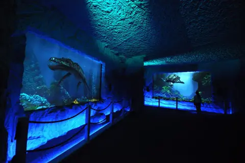 Bałtów oceanarium: Fascynujące atrakcje i edukacja o prehistorii