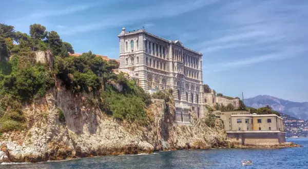 Oceanarium Monaco – Fascynujące życie morskie i atrakcje muzeum