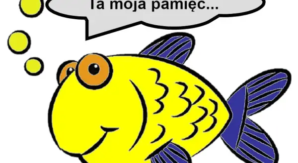Pamięć złotej rybki ile trwa? Fakty, które zaskoczą każdego