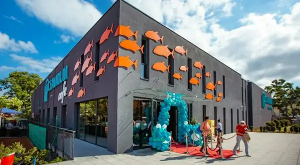 Oceanarium Międzyzdroje - fascynujące morskie stworzenia i atrakcje
