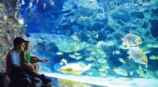 Oceanarium Kielce - Jak wykorzystać bon turystyczny i co zobaczyć?