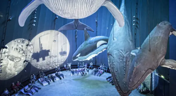 Ozeaneum w Stralsundzie: Fascynujące życie morskie na wyciągnięcie ręki