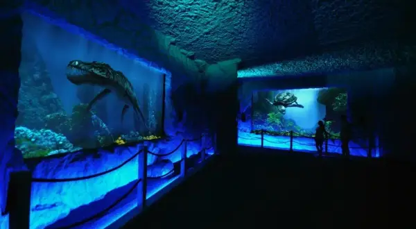 Prehistoryczne oceanarium: odkryj fascynujący świat morskich dinozaurów
