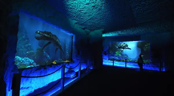 Bałtów oceanarium: Fascynujące atrakcje i edukacja o prehistorii