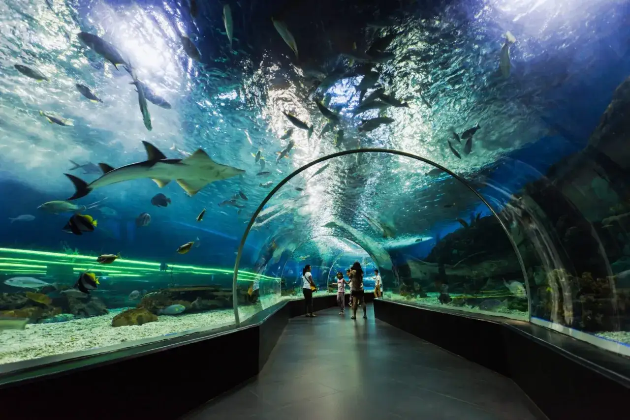 Zdjęcie Oceanarium Walencja - co musisz wiedzieć przed wizytą?