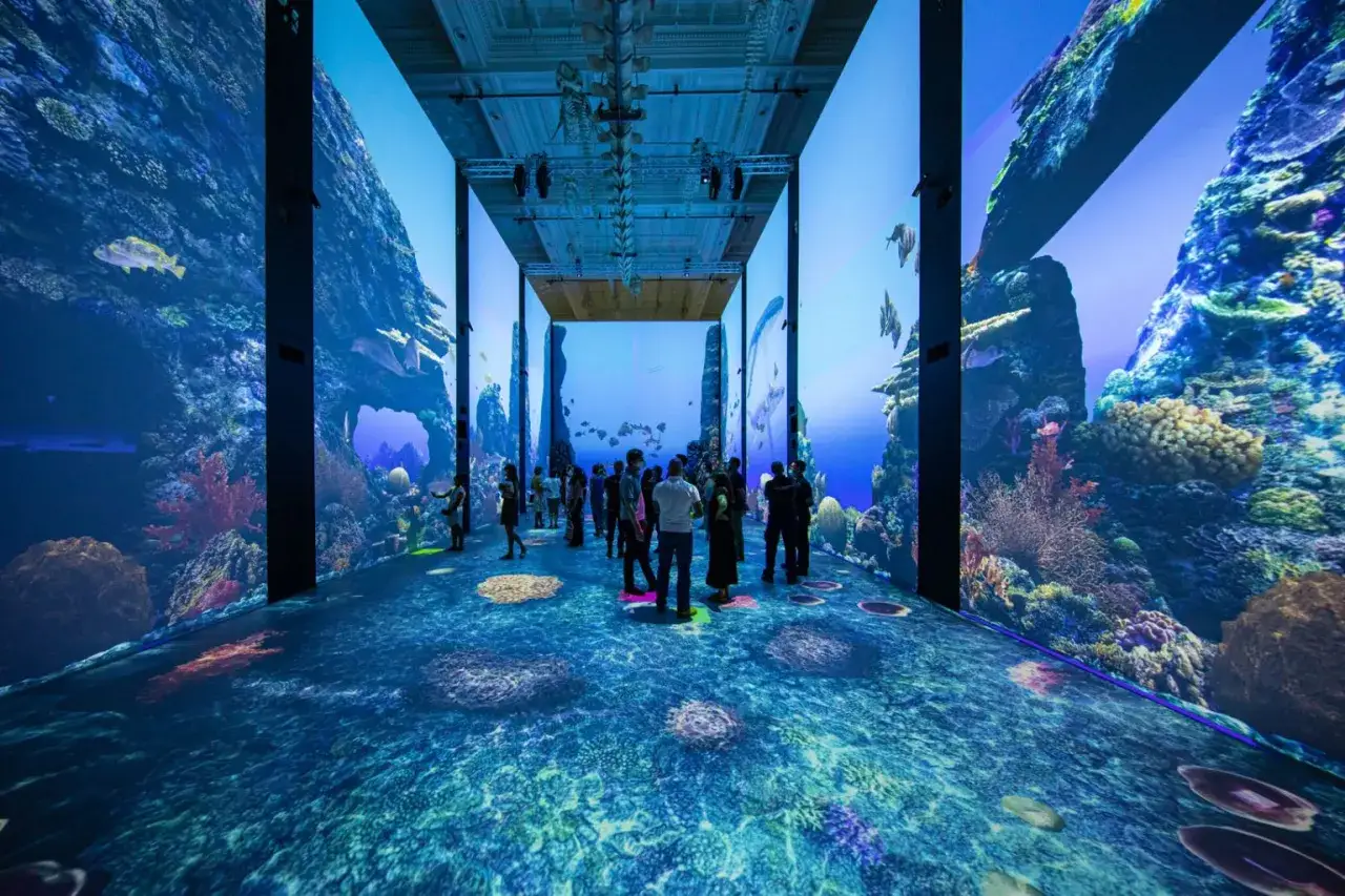 Zdjęcie Oceanarium Monaco – Fascynujące życie morskie i atrakcje muzeum
